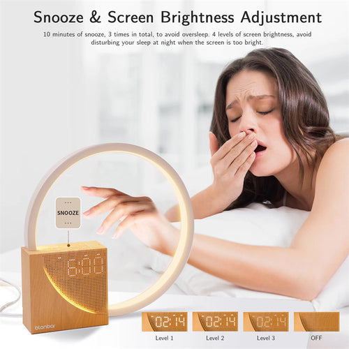 Bedside Lamp Touch Table Lamp With Natural Sounds, Desk Lamp With
